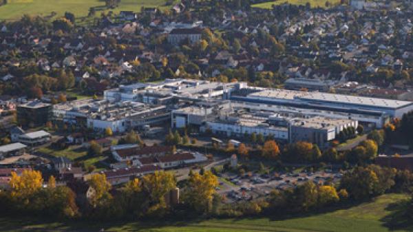 Hechingen, Germany Plant Image